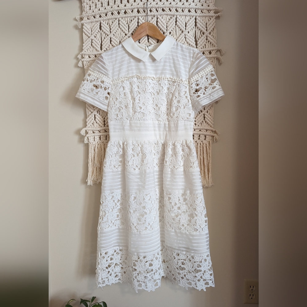 Lace & Mesh White Peter Pan Collar Dress